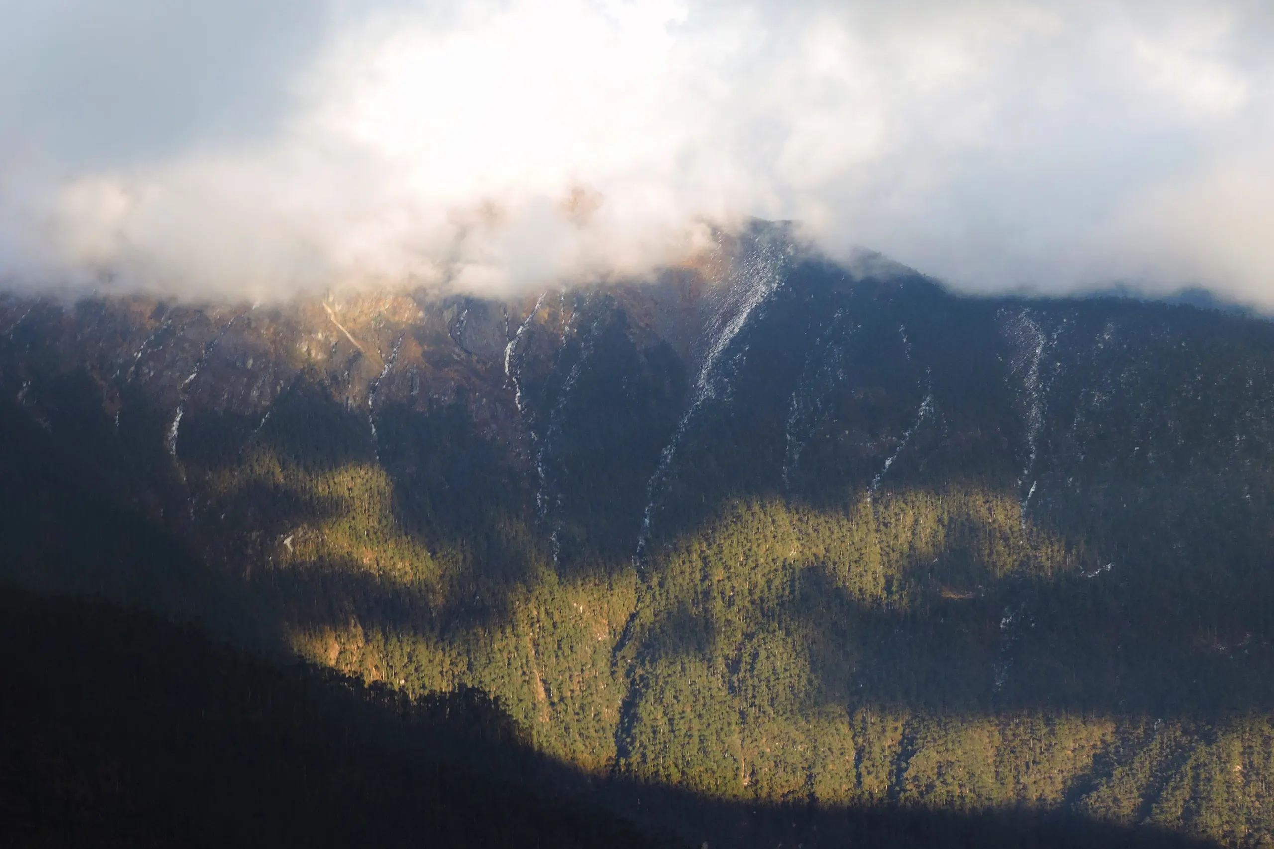 Clouds rolling over forested Himalayan ridges near Sela Pass, Tawang district