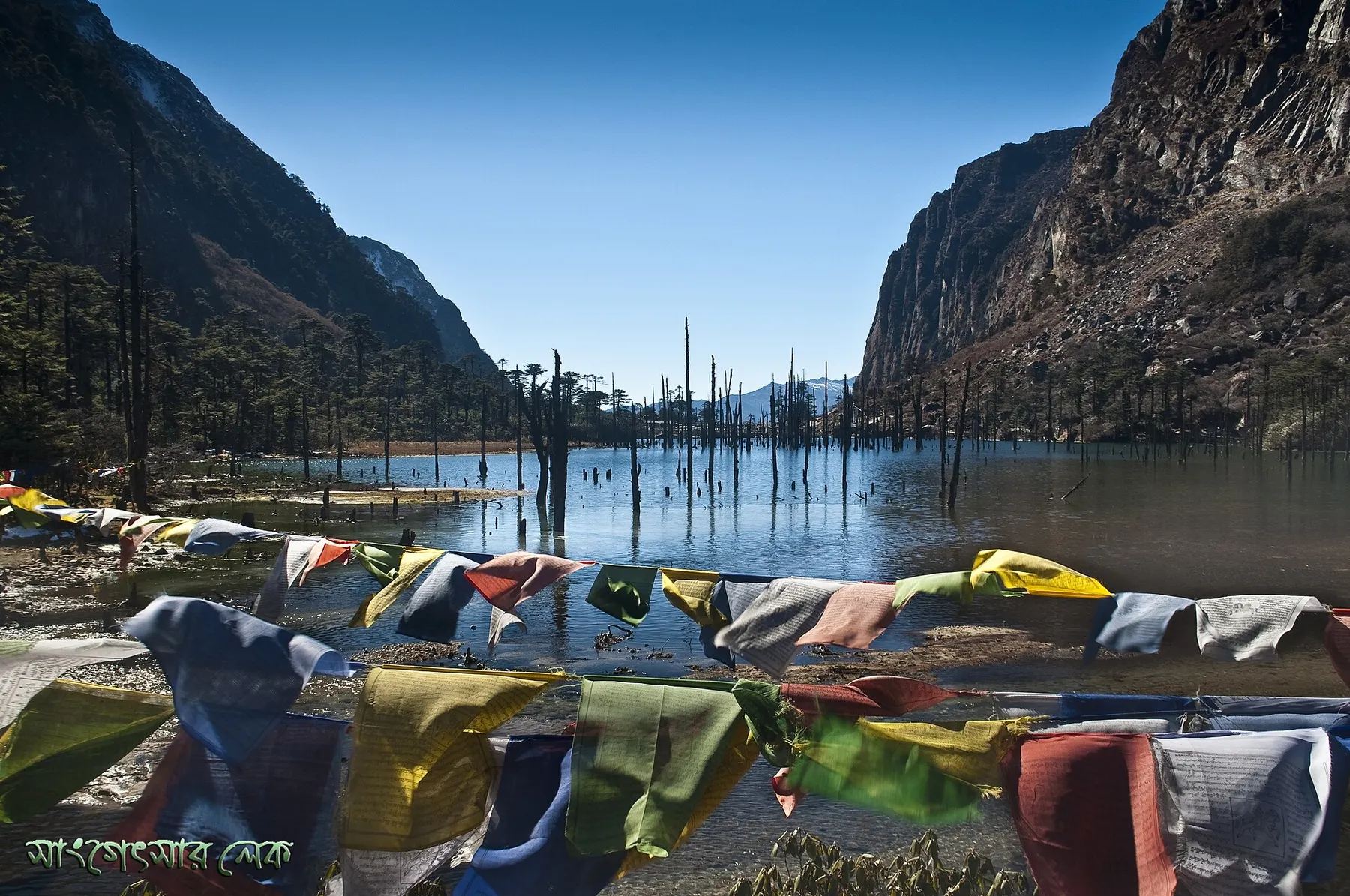 Sangetsar (Madhuri) Lake with prayer flags and dead tree trunks